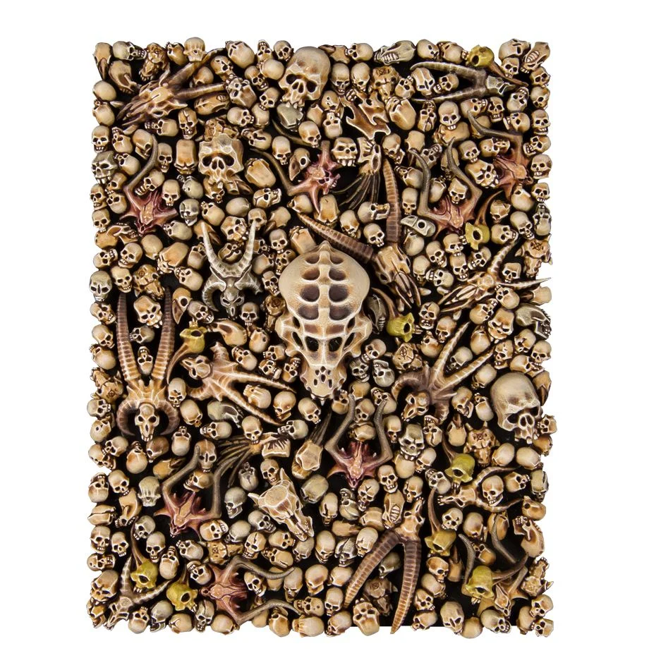 64-29 Citadel Skulls - Image 3