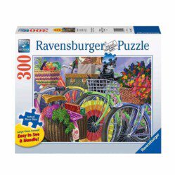 Bicycle Group- 300pc Large