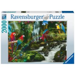 Parrots Paradise Puzzle 2000pc