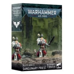 41-48 Blood Angels: Sanguinary Priest