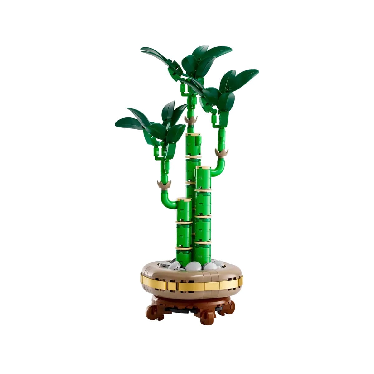 Botanicals - Lucky Bamboo - Image 3
