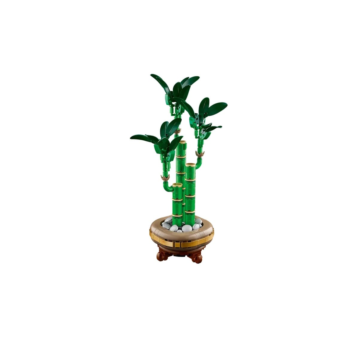 Botanicals - Lucky Bamboo - Image 5