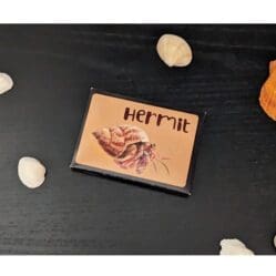 Hermit